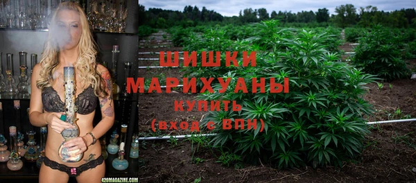 соль ск Новозыбков
