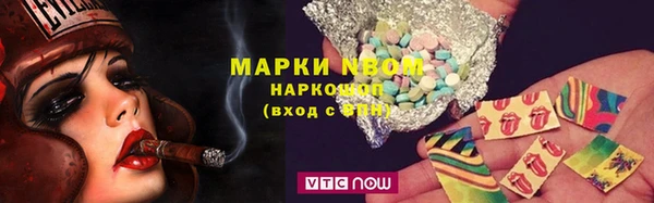 соль ск Новозыбков