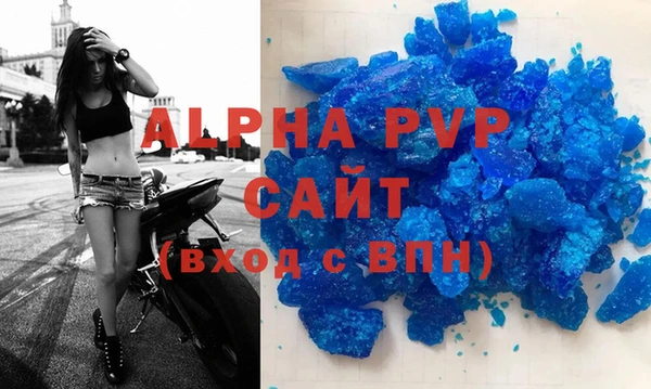 соль ск Новозыбков