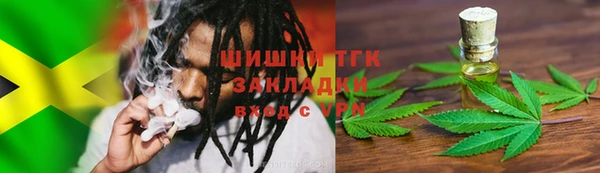 соль ск Новозыбков