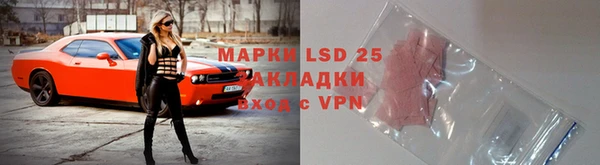 соль ск Новозыбков