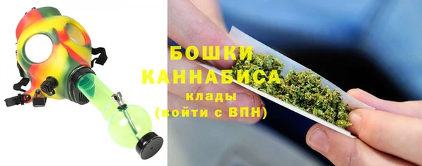 соль ск Нязепетровск