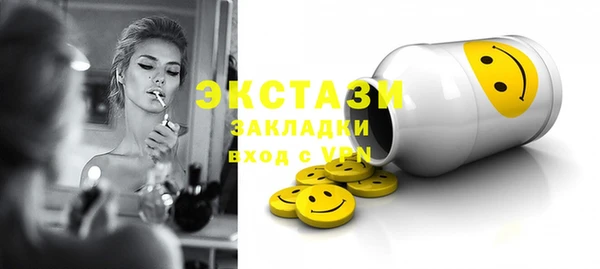 соль ск Новозыбков