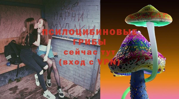 соль ск Новозыбков