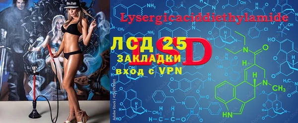 соль ск Новозыбков