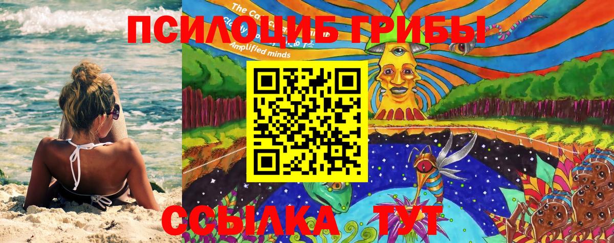 Псилоцибиновые грибы Magic Shrooms  Вход с VPN  Котлас 