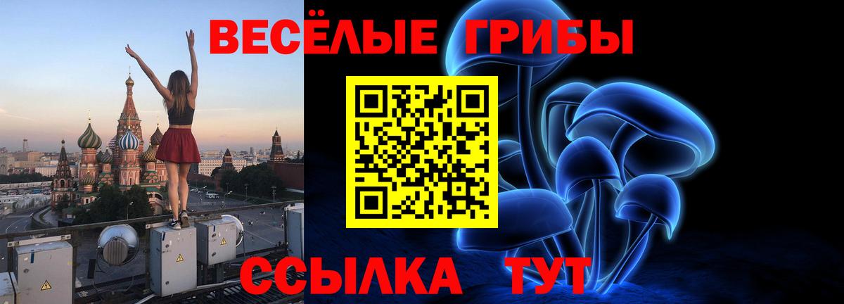 Галлюциногенные грибы Psilocybine cubensis Котлас
