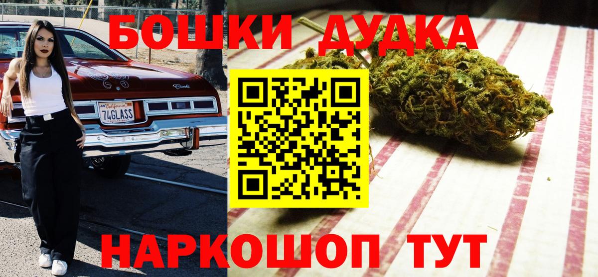 Конопля сатива Котлас
